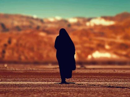 Islam, Deutschland und Zu-etwas-gehören