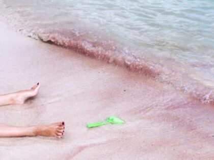 Wolf, resigniere nicht!