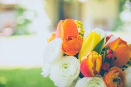 Warum ich kein Linker sein kann – eine »spirituelle« Begründung