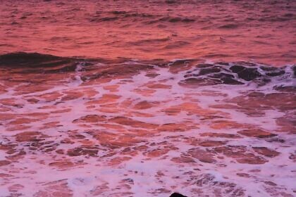 Die Schiffe auf dem Meer der Lügen