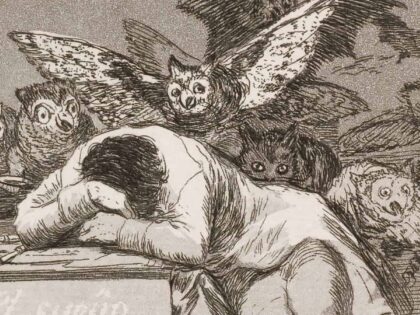 Der Schlaf der Vernunft gebiert Monster – wer weckt die Vernunft wieder auf?!