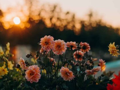 Ist Höcke allein (noch) ein Grund, die AfD nicht zu wählen?