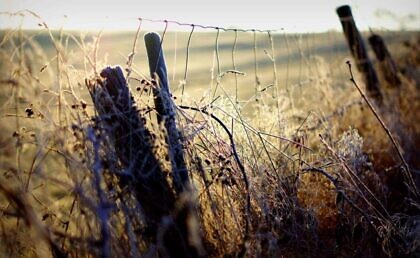 Schengen und wir – weniger Götzendienst wagen!