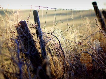 Schengen und wir – weniger Götzendienst wagen!