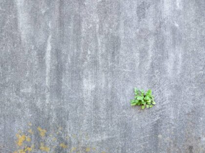 Deutschlands Einheit und die neue Mauer