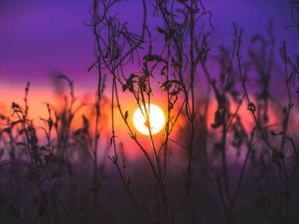 Selbstbestimmung – das große Thema des Jahrzehnts