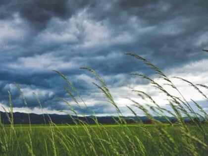Windkraft ist Gewalt