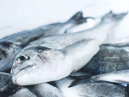 Der Fisch stinkt vom Staatsfunk her