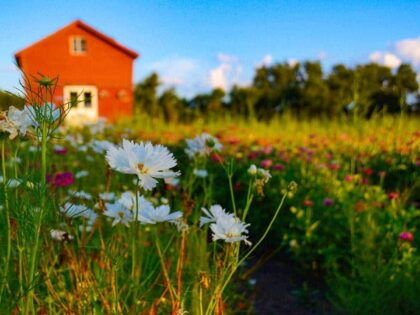 Lächeln, als ob es möglich wäre