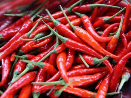 Hört auf, die Chilischoten zu fressen!