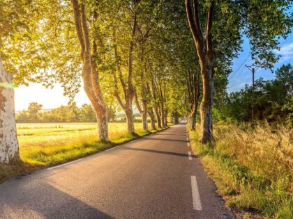 Ernst darf nicht mehr Auto fahren