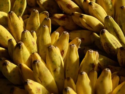 Grüne Bonzen und errötende Bananen