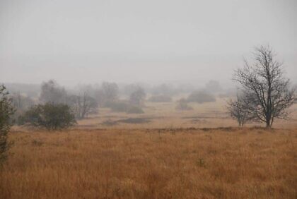 Moor und Planke, Heraus und Hinauf