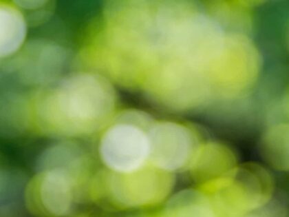 Eine Weltregierung gegen Außerirdische