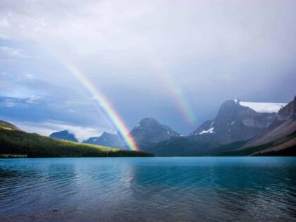 Trickdiebe mit Regenbogenflagge