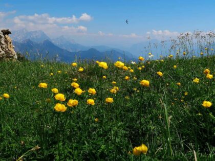 Der Staatsfunk muss …