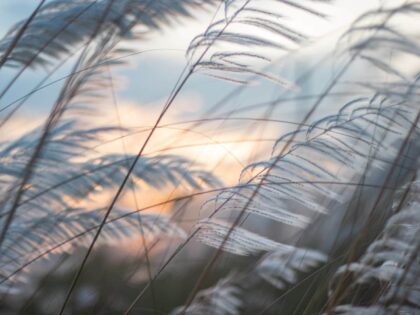Die Welt hat keine Bringschuld