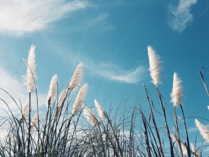Auf Sylt ist weniger Stress