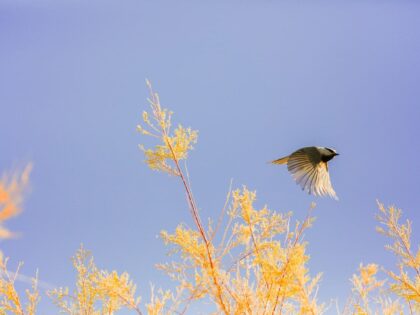 Im Übrigen sage ich: Überwachung!