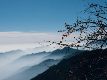 Chinaprotokoll, oder: Die Sprache der Vernichtung