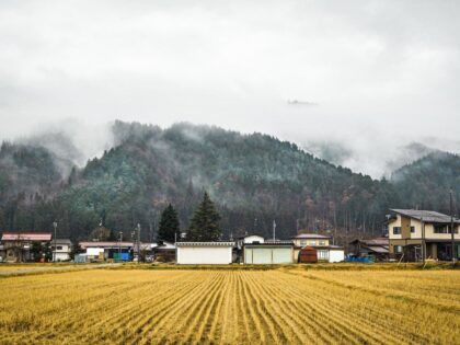 Ist dies schon Utopia?