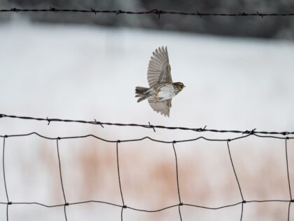 Weil mich niemand das Fliegen lehrte