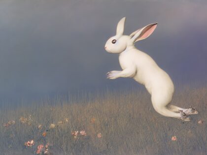 Der weiße Hase und die Klimadiktatur