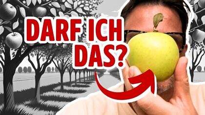 Bedeutet »für Deutschland« immer »gegen …«?