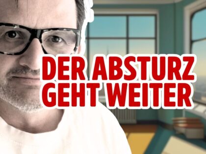 AfD, Verfassungsschutz und Absturz