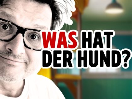 AfD hat die Hausaufgaben gefressen
