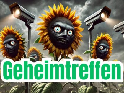 Grünes Geheimtreffen plant zentrale Verwaltung von Europa