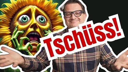 Grüne im Umfragetief! Erstmals seit 7 Jahren unter 10 %